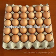 Bandeja de huevo de celulosa de papel de 30 celdas